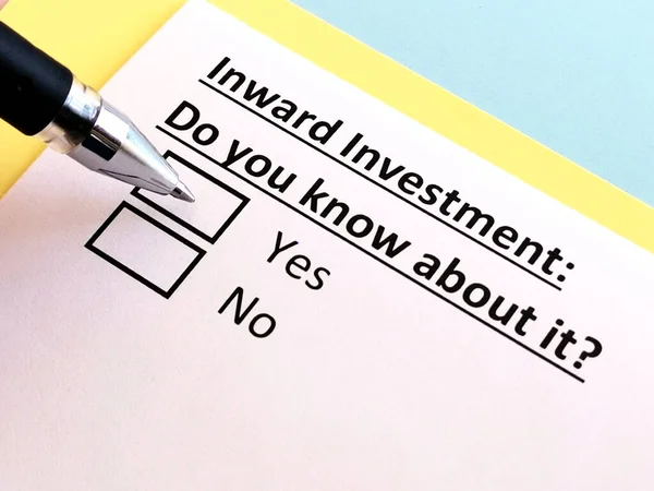 Uma Pessoa Está Respondendo Pergunta Sobre Investimento Interno — Fotografia de Stock