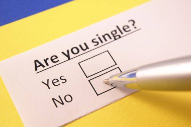 Bekar mısın? Evet ya da hayır.?