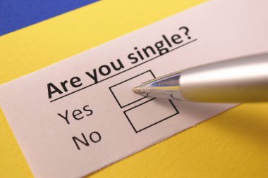 Bekar mısın? Evet ya da hayır.?