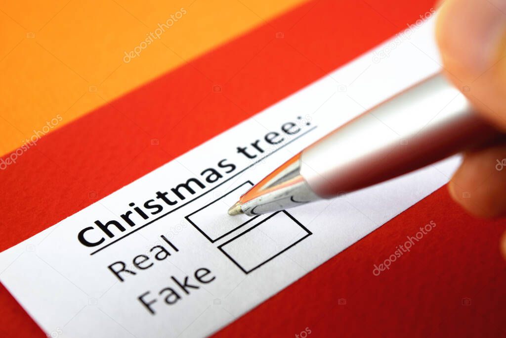 Christmas tree: Real or Fake? Real.