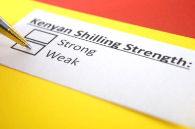 Bir kişi Kenya Şilininin gücü ile ilgili soruya cevap veriyor..