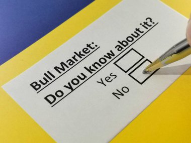 Bir kişi, boğa pazarı ile ilgili soruya cevap veriyor..