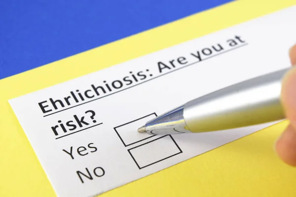 Una Persona Está Respondiendo Pregunta Sobre Ehrilichiosis — Foto de Stock