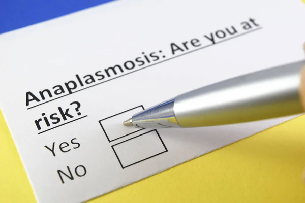 Una Persona Está Respondiendo Pregunta Sobre Anaplasmosis — Foto de Stock