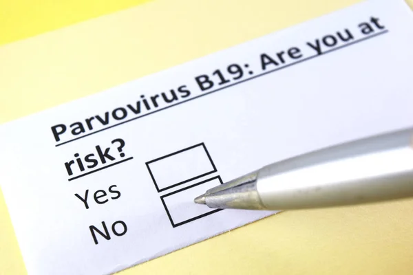 Una Persona Está Respondiendo Pregunta Sobre Parvovirus B19 — Foto de Stock