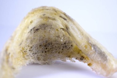 Arka plan olarak kuş yuvası. Kuş yuvası işindeki yatırımlar için kullanılabilir..