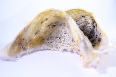 Arka plan olarak kuş yuvası. Kuş yuvası işindeki yatırımlar için kullanılabilir..