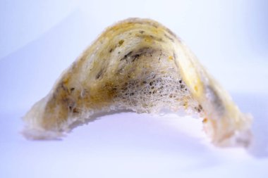 Arka plan olarak kuş yuvası. Kuş yuvası işindeki yatırımlar için kullanılabilir..