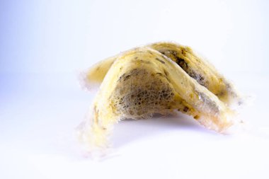 Arka plan olarak kuş yuvası. Kuş yuvası işindeki yatırımlar için kullanılabilir..