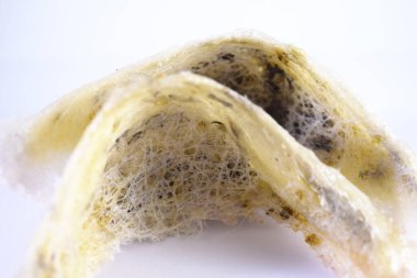 Arka plan olarak kuş yuvası. Kuş yuvası işindeki yatırımlar için kullanılabilir..