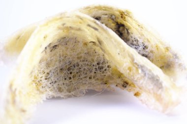 Arka plan olarak kuş yuvası. Kuş yuvası işindeki yatırımlar için kullanılabilir..