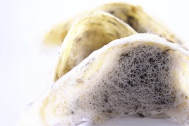 Arka plan olarak kuş yuvası. Kuş yuvası işindeki yatırımlar için kullanılabilir..