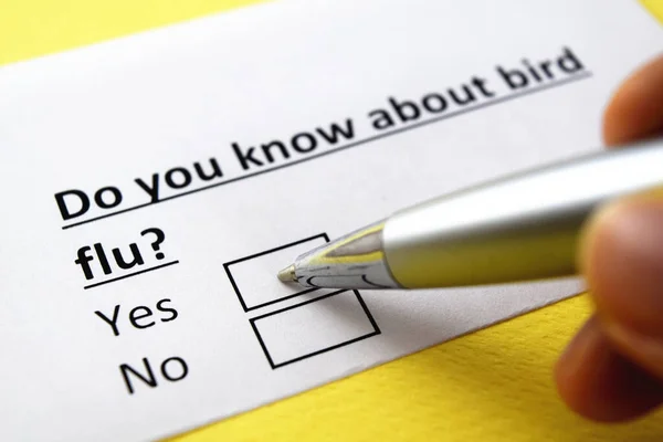 Una Persona Está Respondiendo Una Pregunta Sobre Gripe Aviar — Foto de Stock