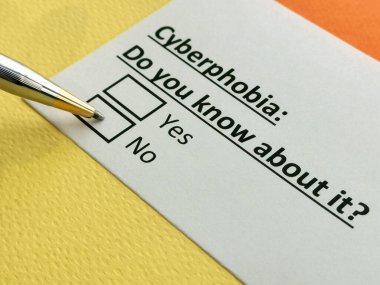 Bir kişi siber fobiyle ilgili soruya cevap veriyor..