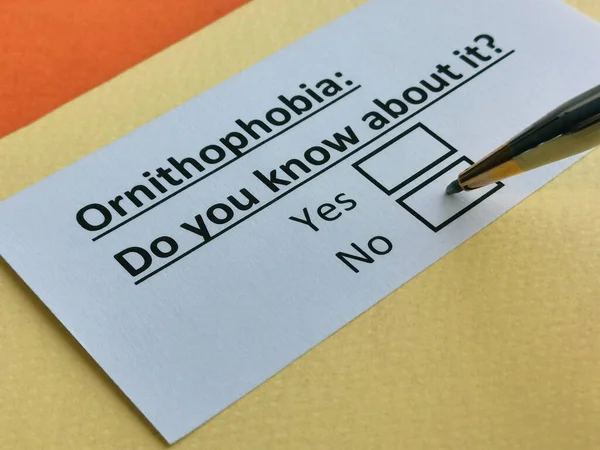 Bir kişi ornitofobi ile ilgili soruya cevap veriyor..