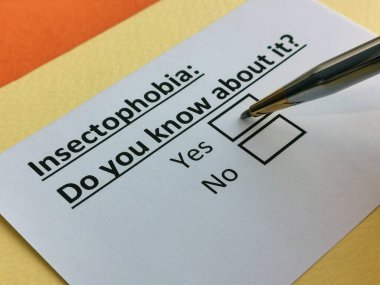 Bir kişi böcek fobisi ile ilgili soruya cevap veriyor..