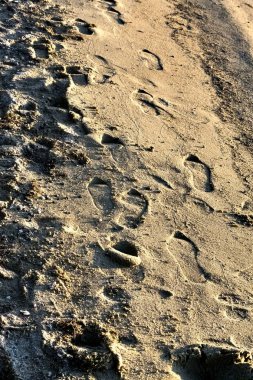bir adamın ıslak kum üzerinde mesafe bırakarak ayak izleri