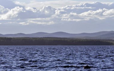 Gölün güzel tüylü ve cumulonimbus bulutlar ile üzerinde mavi gökyüzü görünümü güneşli bir günde, Güney Urallar, göl Uvildy