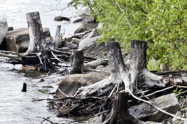 kayalık kıyısında Gölü, Güney Urallar, göl Uvildy