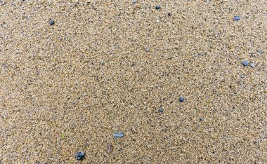 doku göl kenarında kumları arasında küçük taşlarla gel