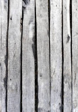 doku eski kurullarının bir panel monte