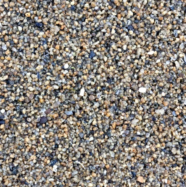 Texture Sabbia Bagnata Con Piccole Pietre Sul Lago — Foto Stock