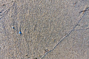 doku göl kenarında küçük taşlarla ıslak kum