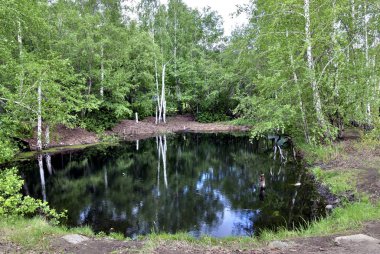 karanlık su yeşil ağaçlar tarafından çerçeveli bir küçük orman gölet