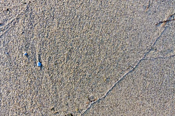Текстура Мокрого Песка Небольшими Камнями Озере — стоковое фото