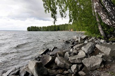 Gölün, huşu içinde ön plan, Güney Urallar, göl Uvildy kayalık sahil