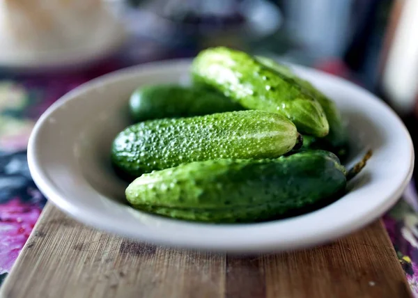 Fresh green cucumbers in a plate — Stock Photo, Image