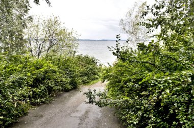 Sahilde büyüyen ağaçlar aracılığıyla bulutlu havalarda göl görünümü