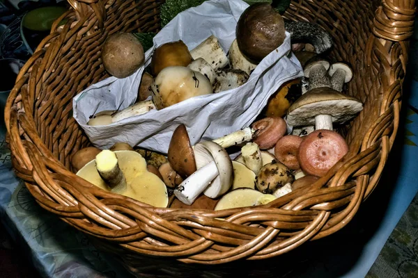 Cesta Com Cogumelos Selvagens Reunidos Urais Sul — Fotografia de Stock