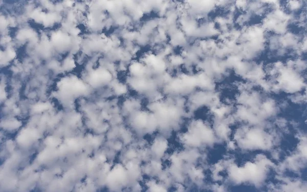 Küçük Beyaz Bulutlar Sanki Yırtık Pamuk Parçaları Ile Mavi Gökyüzünün — Stok fotoğraf