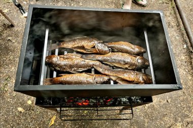 ızgara açık havada Sigara İçilmeyen balık sürecinin tamamlanması