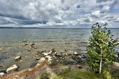 göl ve bulutlu gökyüzü gün güneşli yaz ormanlık kıyıya