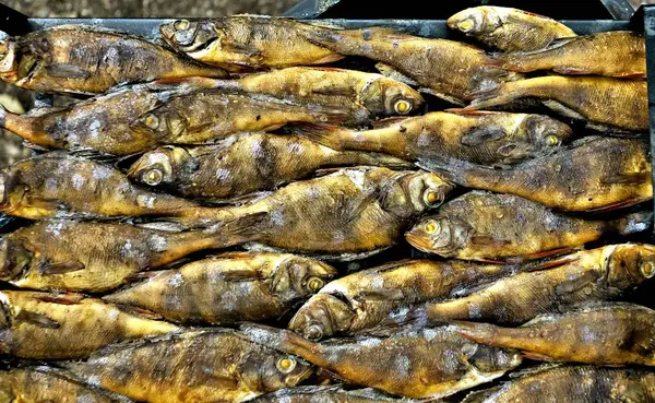 Finished Smoked Freshwater Fish Golden Color Laid Out Sheet — Stock Photo, Image