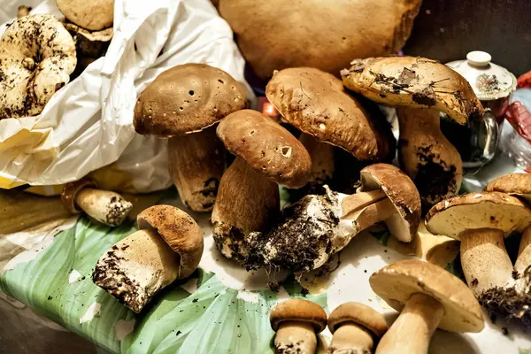 Champinjoner Med Det Latinska Namnet Boletus Edulis Ligga Bordet — Stockfoto