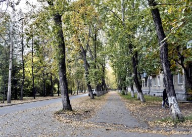 Şehir, evler, ağaçlar, eteklerinde sonbahar manzara sonbahar yaprak