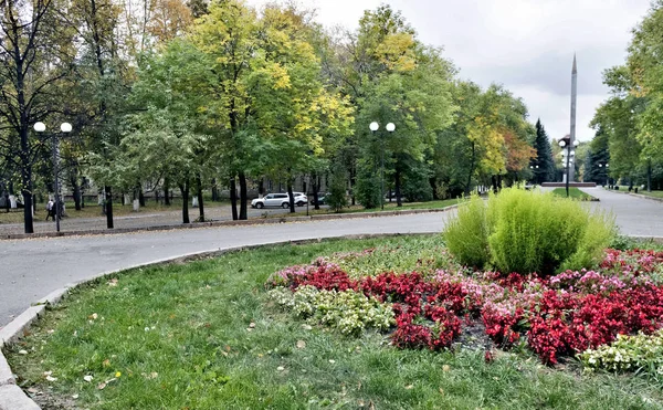 Herbstlandschaft Mit Blumenbeet Vordergrund Stadt Häuser Bäume Laubfall — Stockfoto