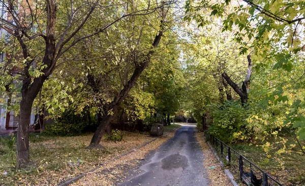 Осенний Пейзаж Окраине Города Дома Деревья Листья Опадают — стоковое фото
