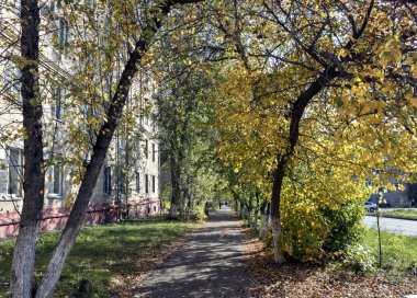 Şehir, evler, ağaçlar, eteklerinde sonbahar manzara sonbahar yaprak