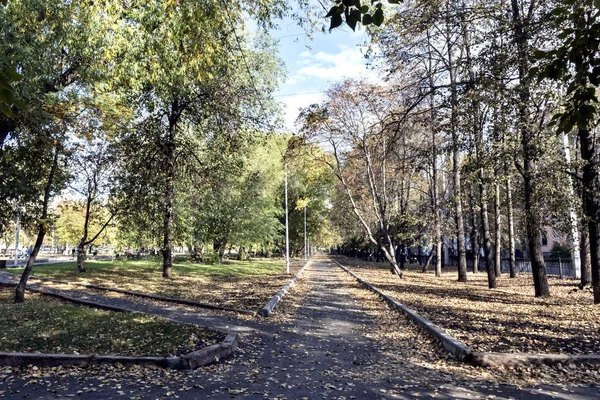 Осенний Пейзаж Окраине Города Дома Деревья Листья Опадают — стоковое фото