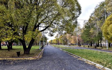 bulutlu, eski ağaçları, Güney Ural Chelyabinsk ile yürüyüşleri için sonbahar sokak