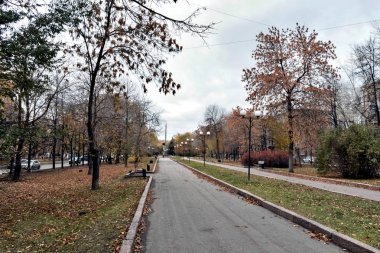 Şehir, evler, ağaçlar, eteklerinde sonbahar manzara sonbahar, Güney Urallar, Chelyabinsk yaprak