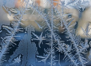 kış Peri orman, pencere camına ayaz desenleri
