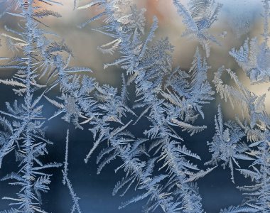 kış Peri orman, pencere camına ayaz desenleri