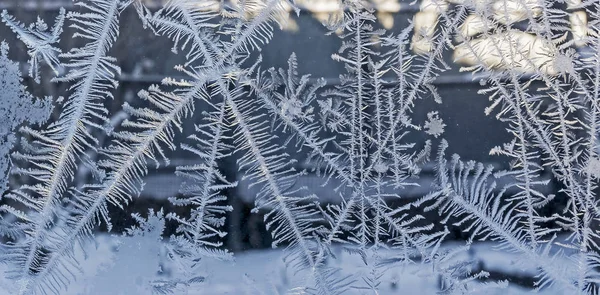 lines, frosty patterns on the window glass, texture of frosty patterns winter background