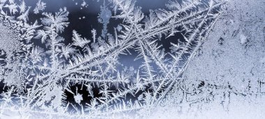 kış Peri orman, ayaz desenler kış arka plan dokusu