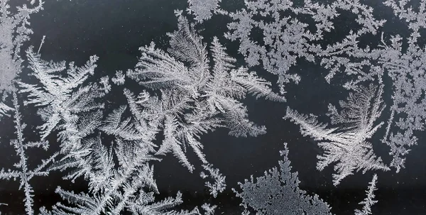 冬の妖精の森 冷ややかなパターン冬背景のテクスチャ — ストック写真